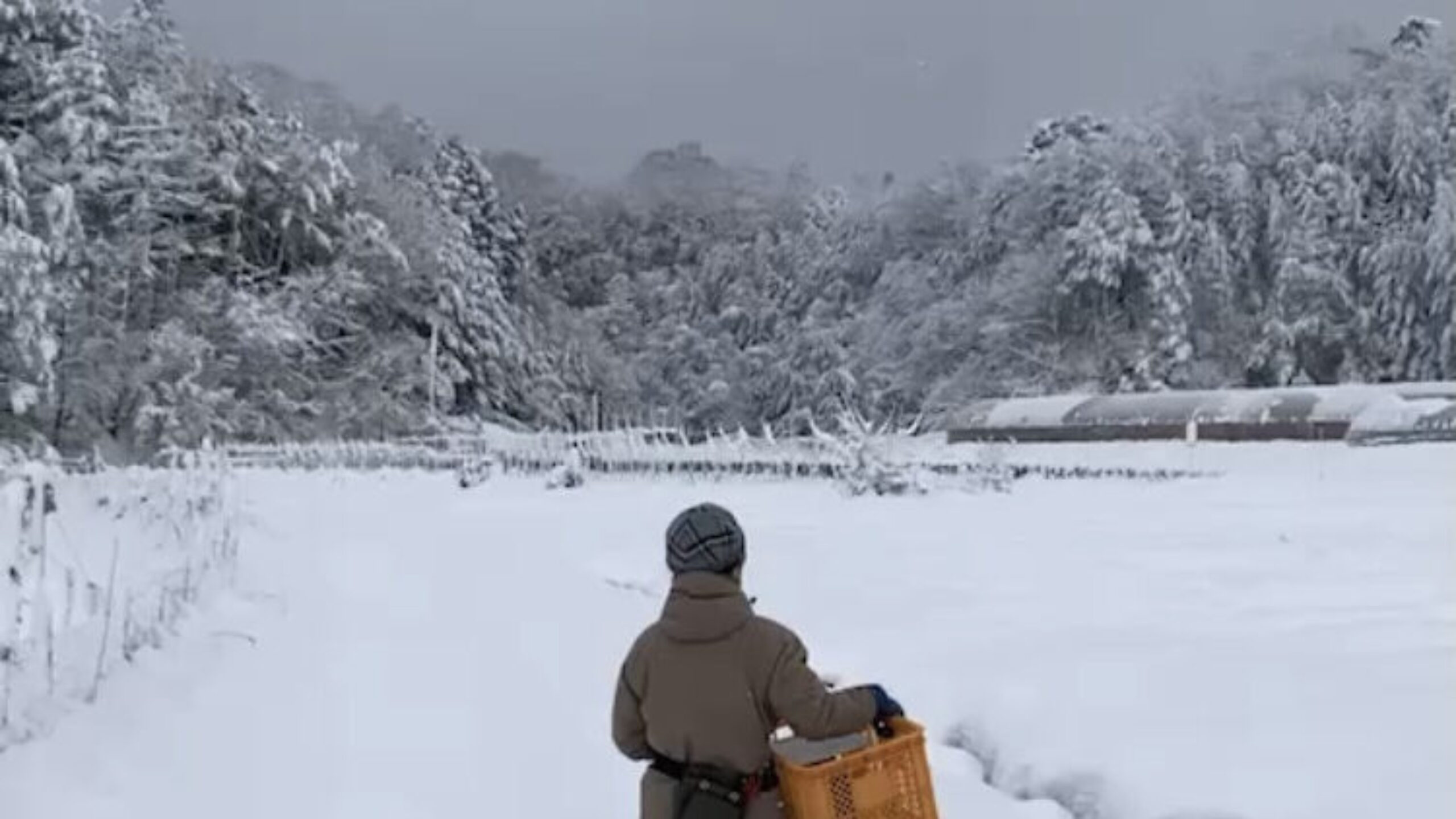 スタッフコラム「おいしい生活⑯」