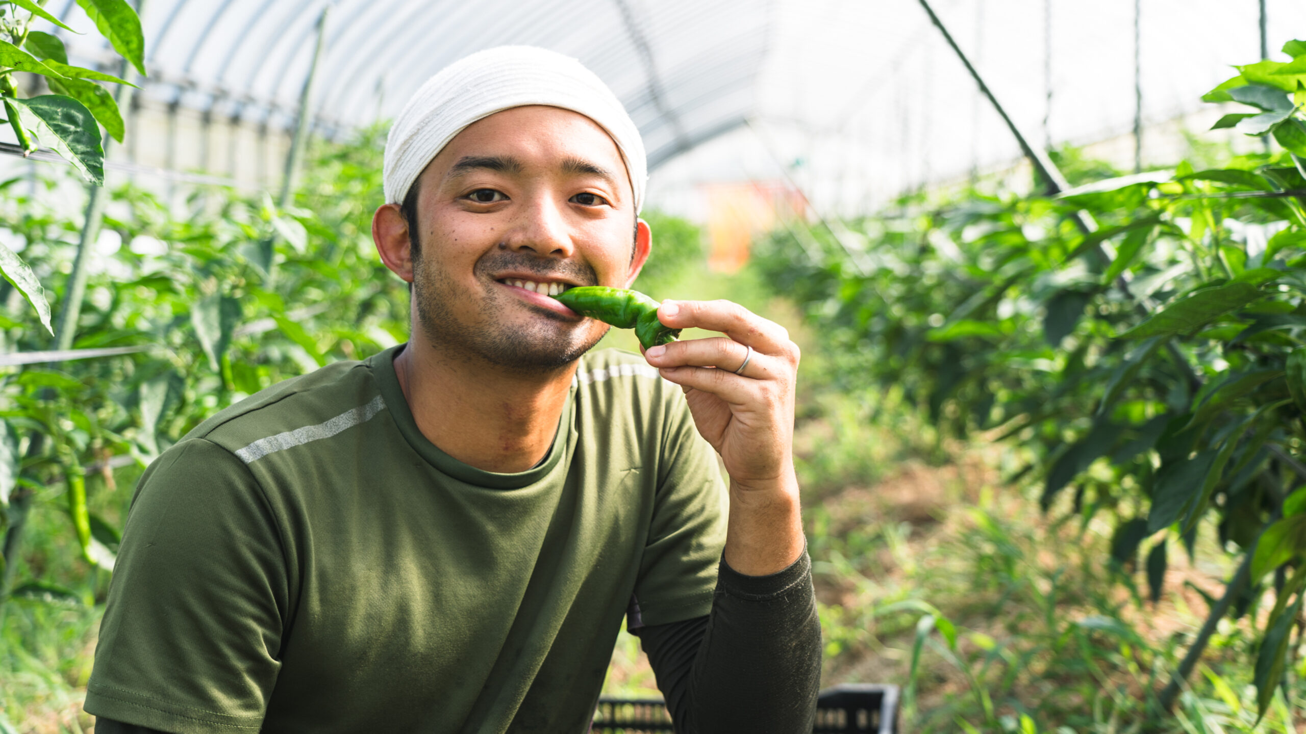 スタッフコラム「僕の京丹後生活」