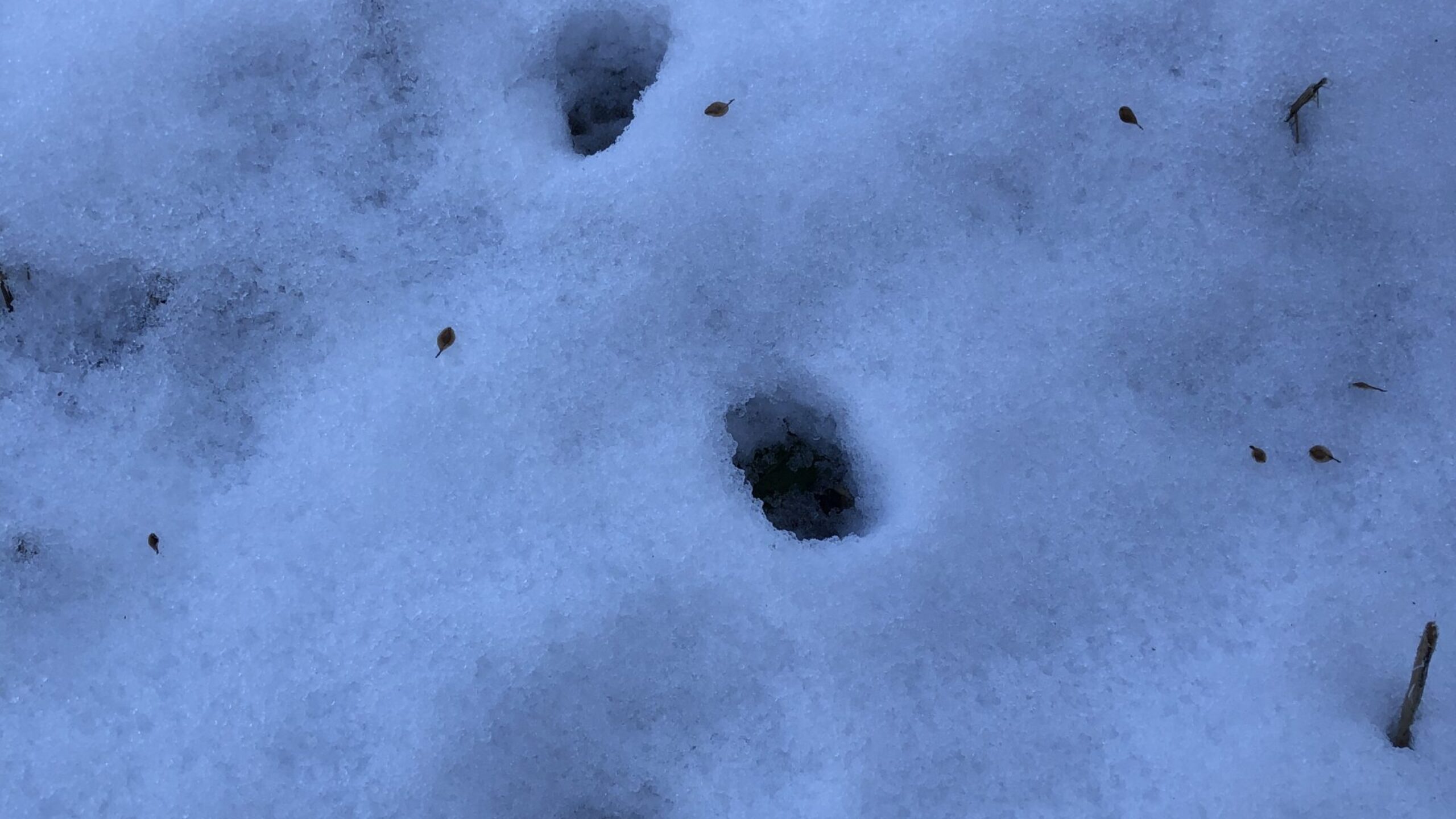 スタッフコラム「僕の京丹後生活」菅野まいける大貴