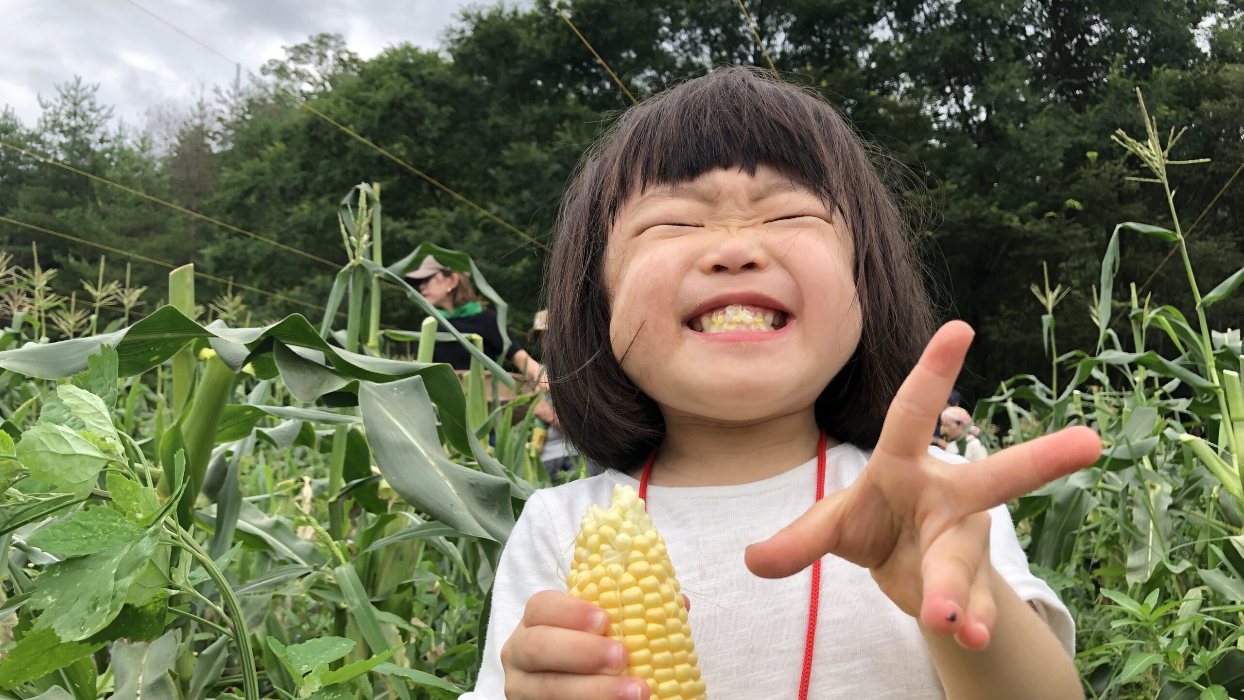 7月21日(日)夏野菜の収穫＆畑でグリルランチ