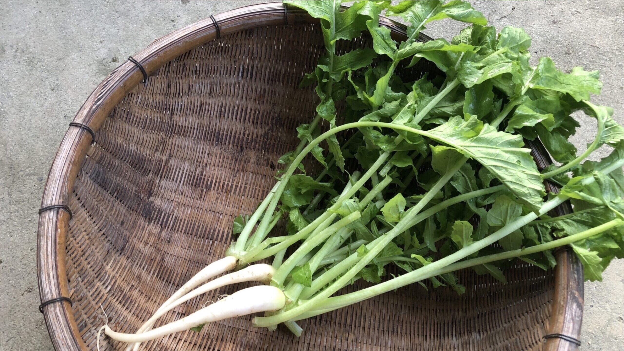 旬の野菜シリーズ「大根葉」