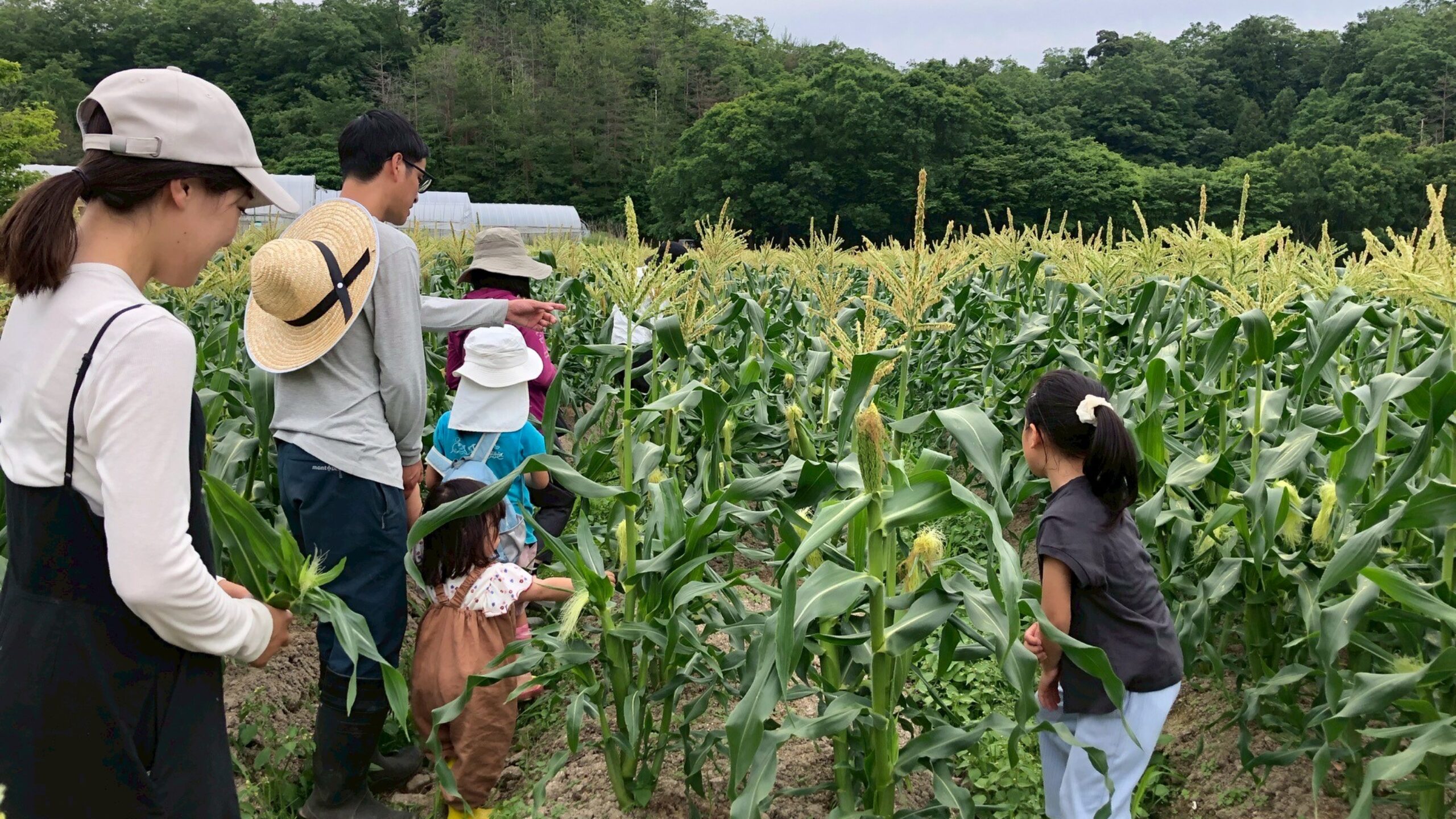 スタッフコラム「僕の京丹後生活」