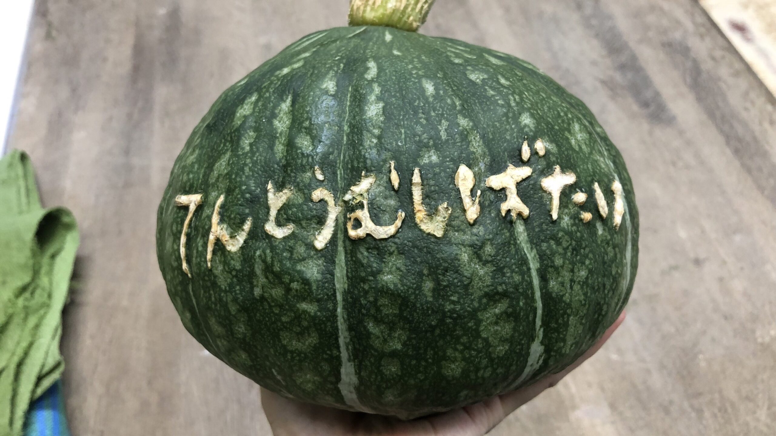 週刊ﾐﾆてんとうむし畑便り(8/3~8/9ﾐﾆ468号)
