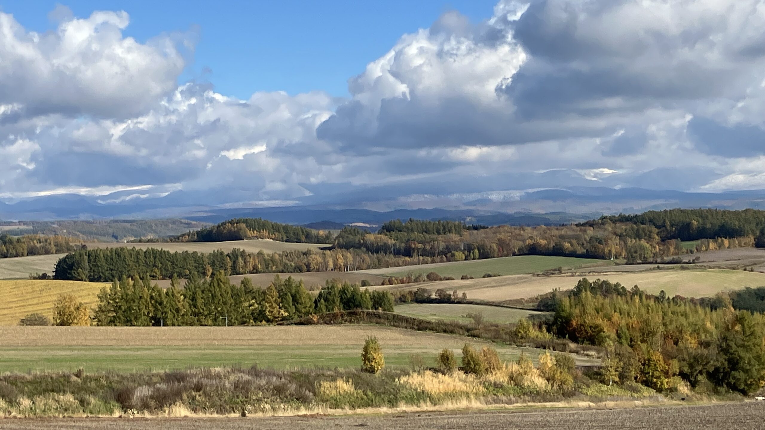 週刊ﾐﾆてんとうむし畑便り(10/26~11/1ﾐﾆ第480号)