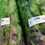 大根葉