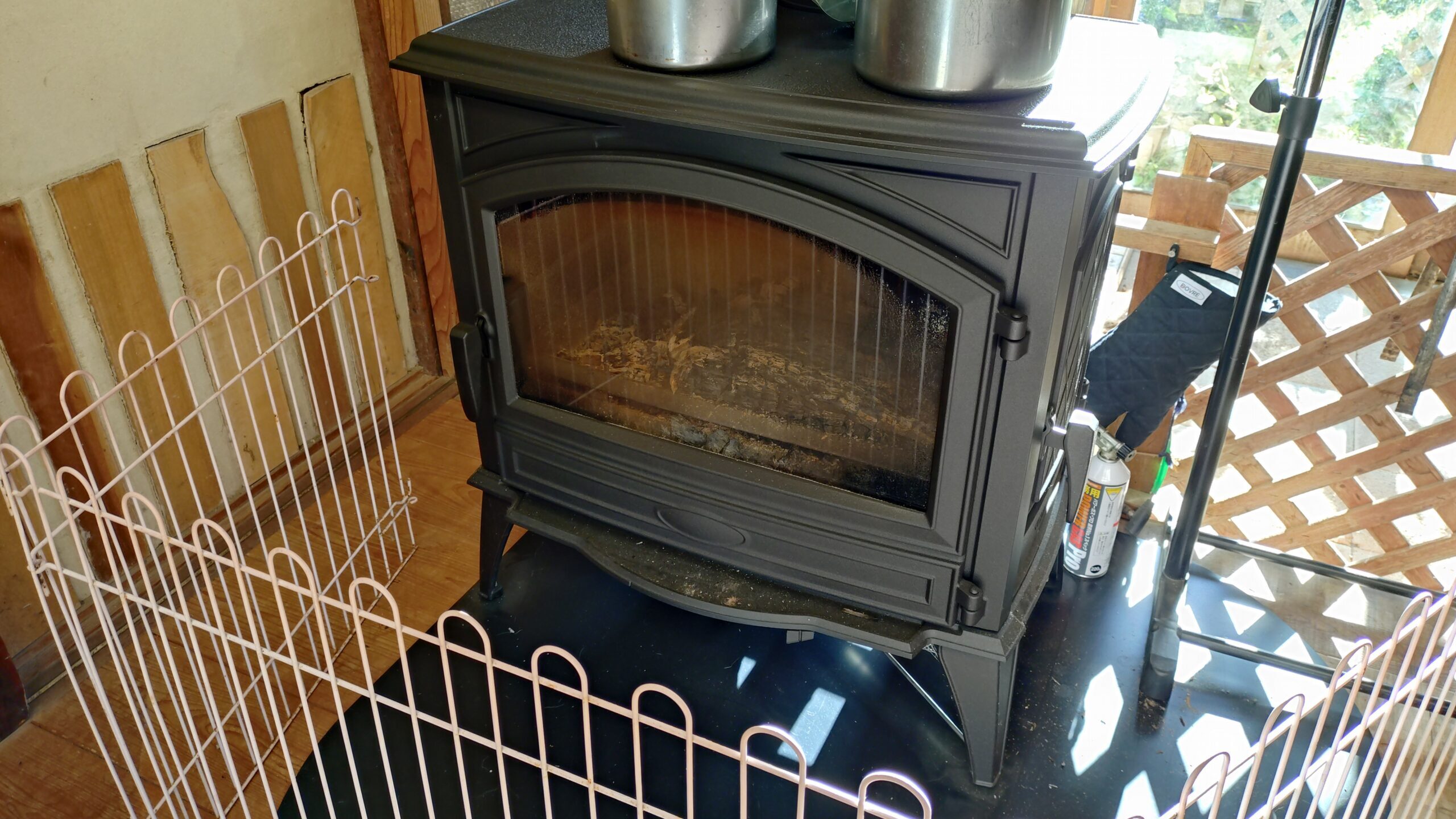 週刊ﾐﾆてんとうむし畑便り(11/23~11/29ﾐﾆ第484号)