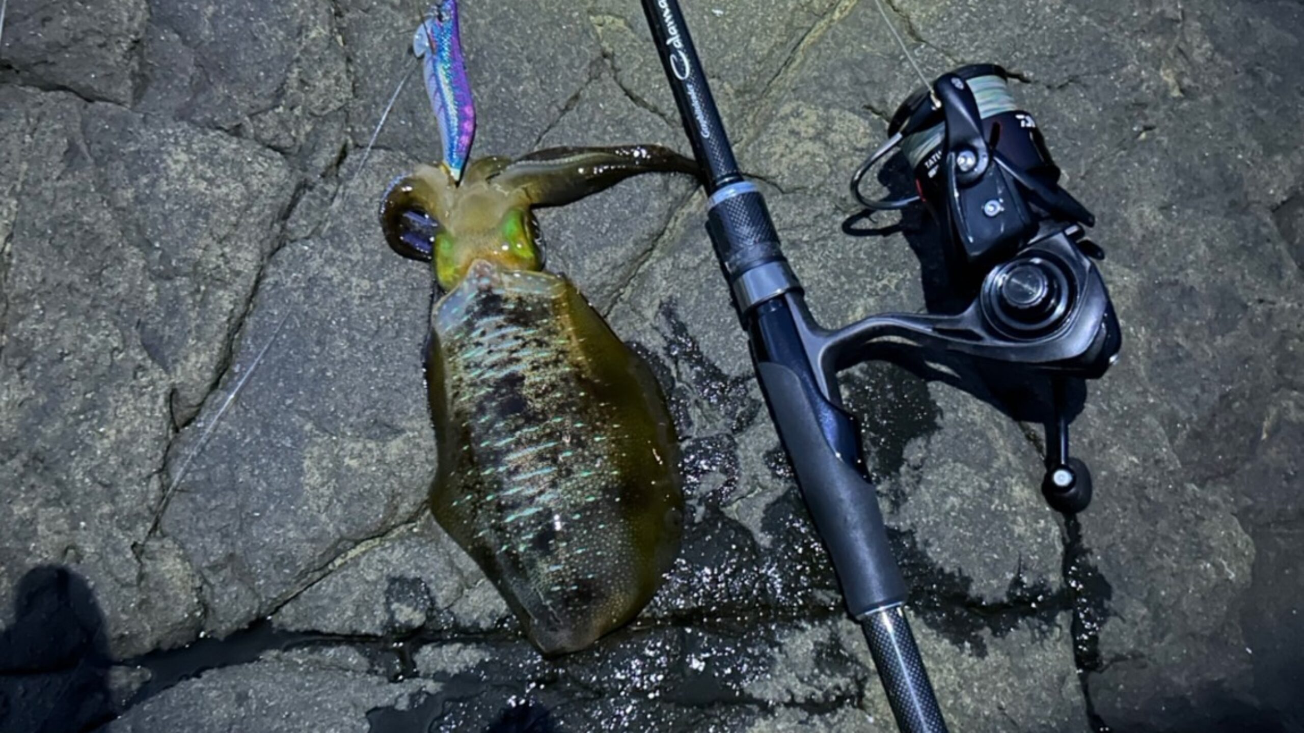 スタッフコラム「スタッフ堀江の釣り日記」