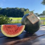 スイカ