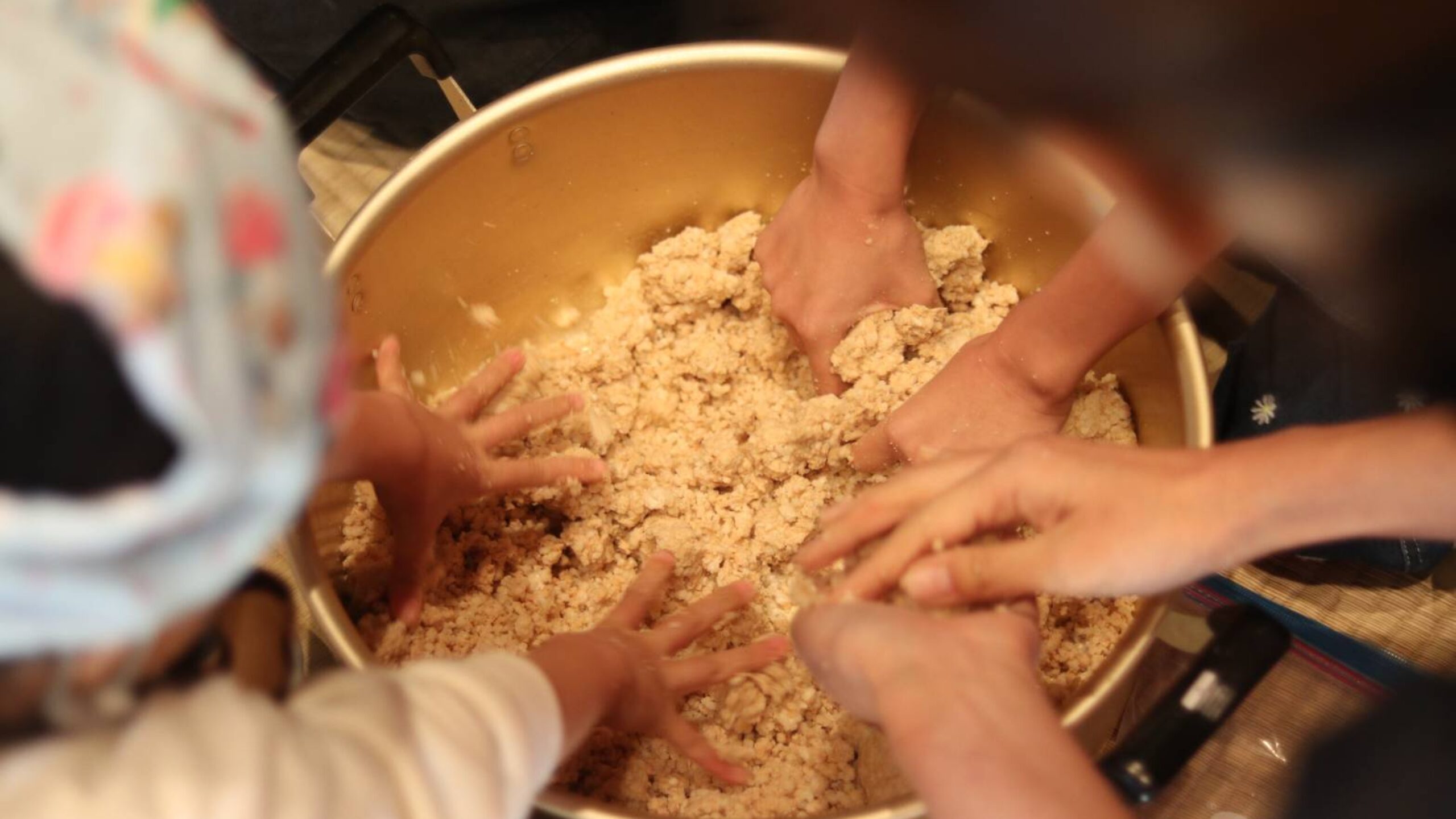 週刊てんとうむし畑便り(2026/2/8~2/14 ﾐﾆ第493号)