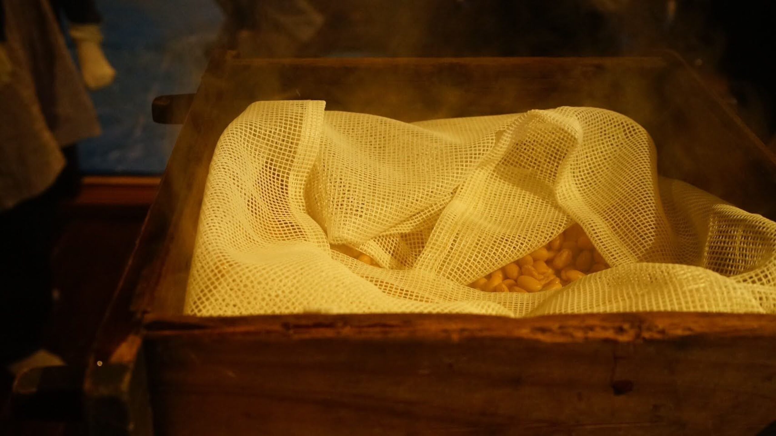 週刊てんとうむし畑便り(2026/2/15~2/21 ﾐﾆ第494号)