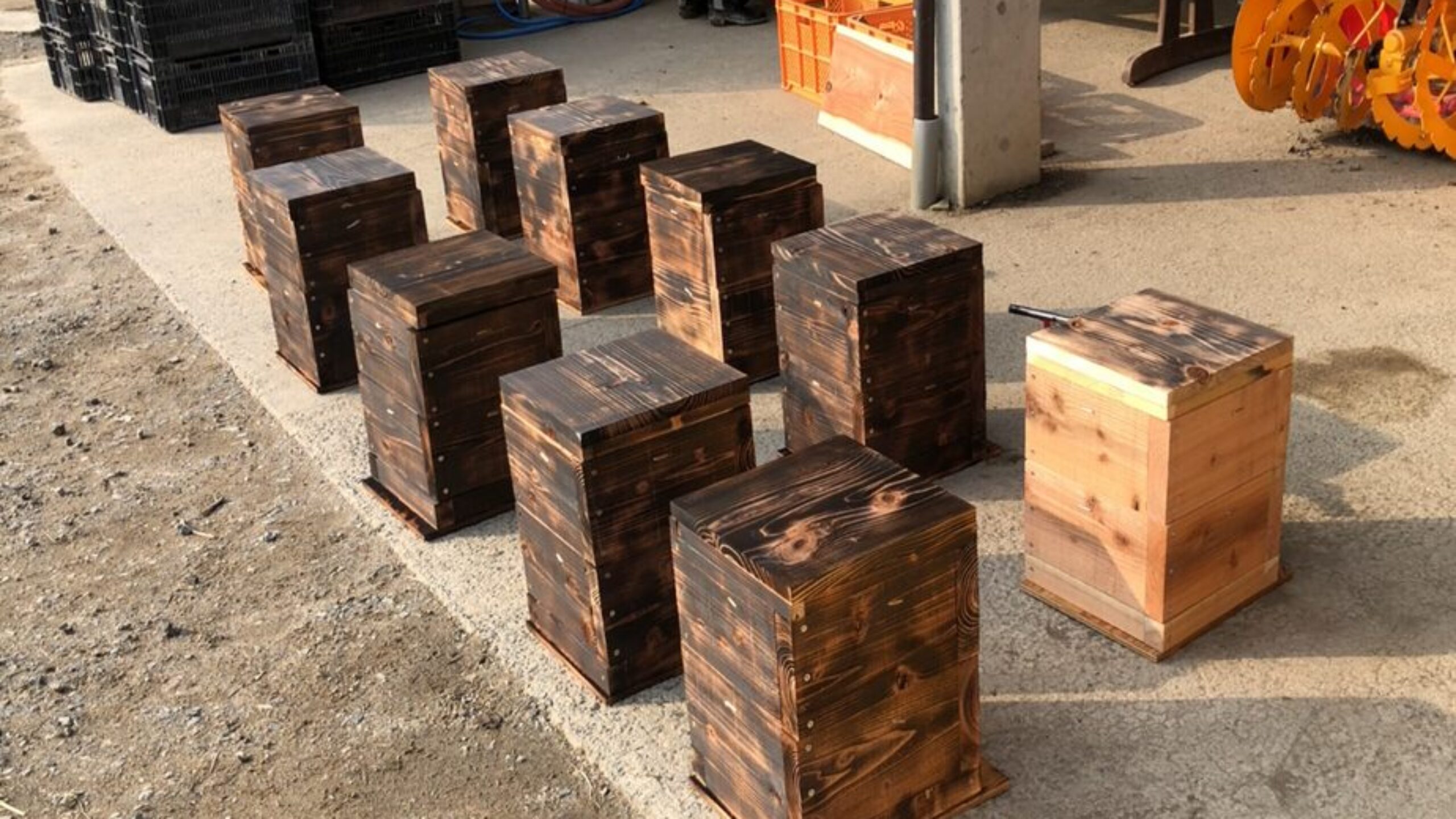 スタッフコラム「養蜂日記　Vol.20」藤澤侑也