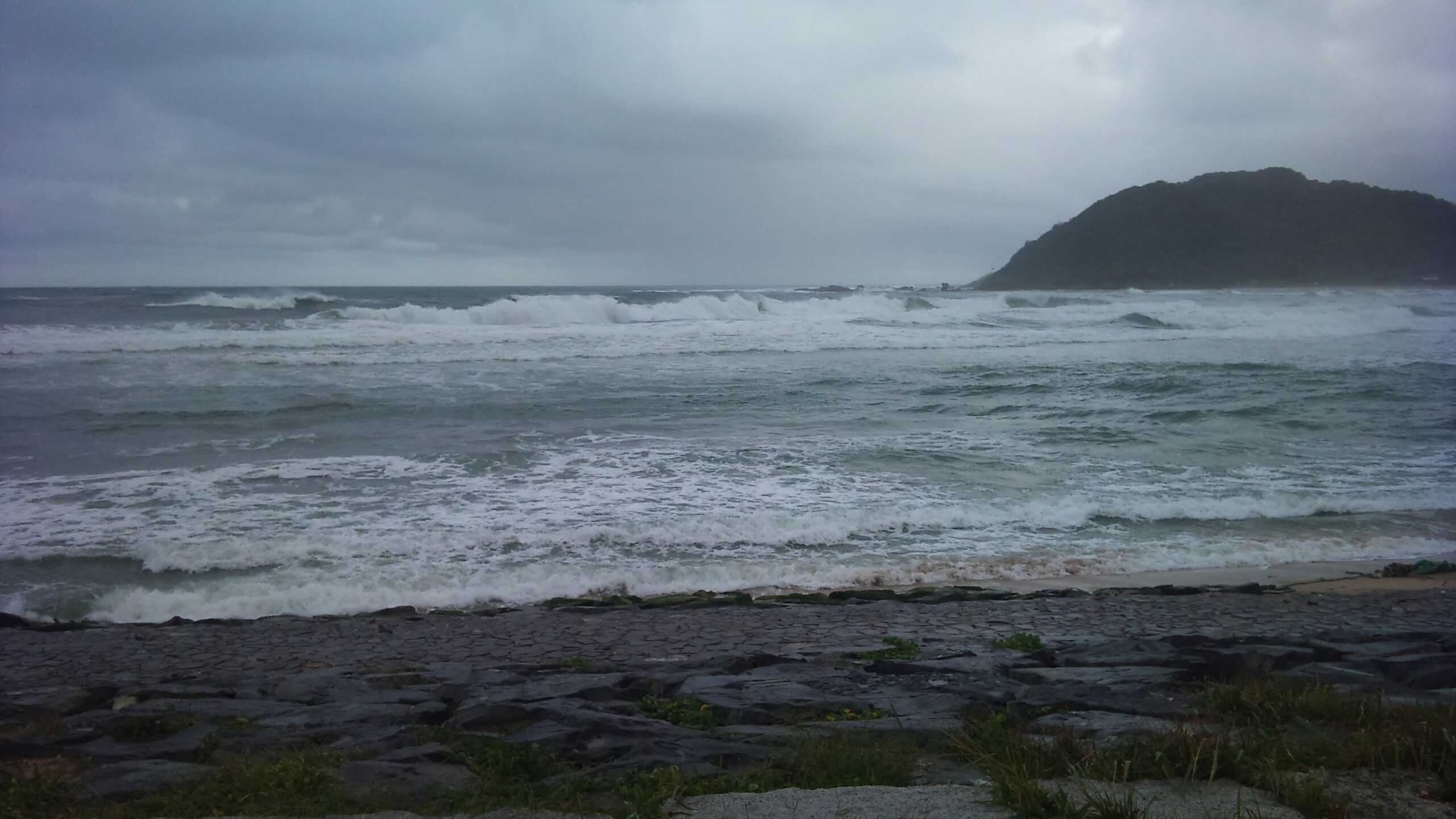 スタッフコラム「スタッフ堀江の釣り日記」（堀江）