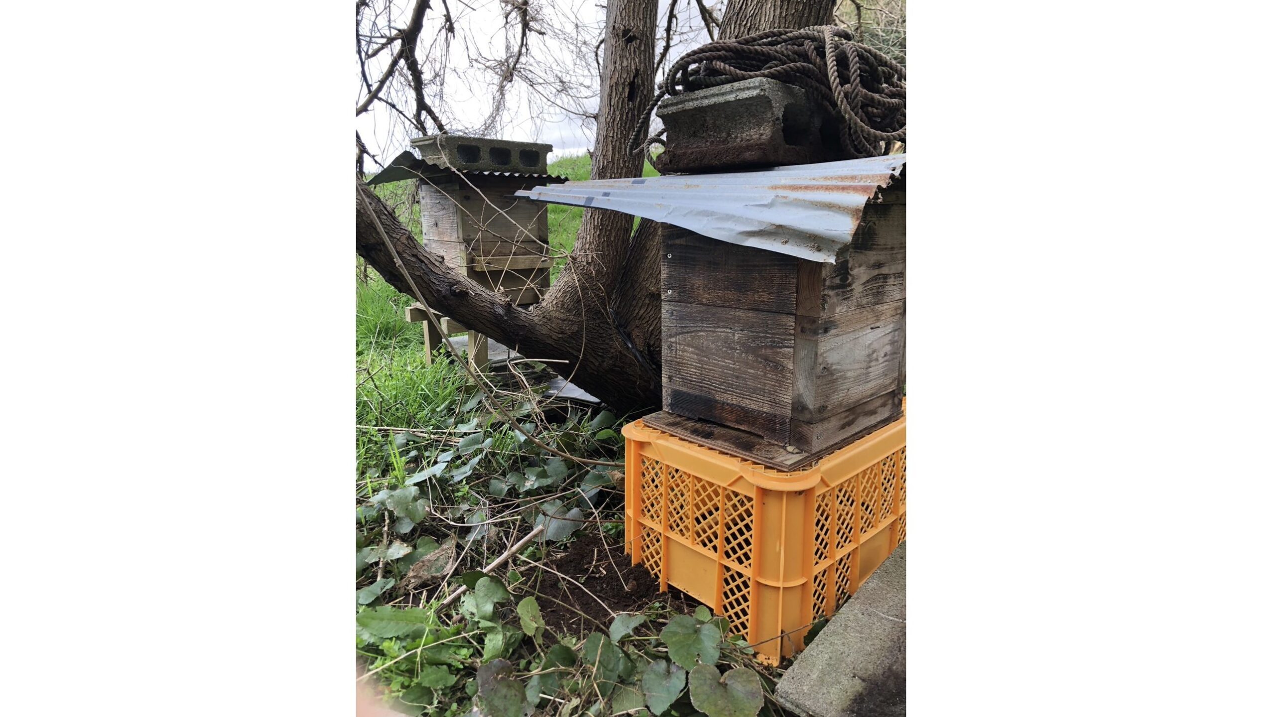 スタッフコラム「ブンブン日和　vol.21」藤澤