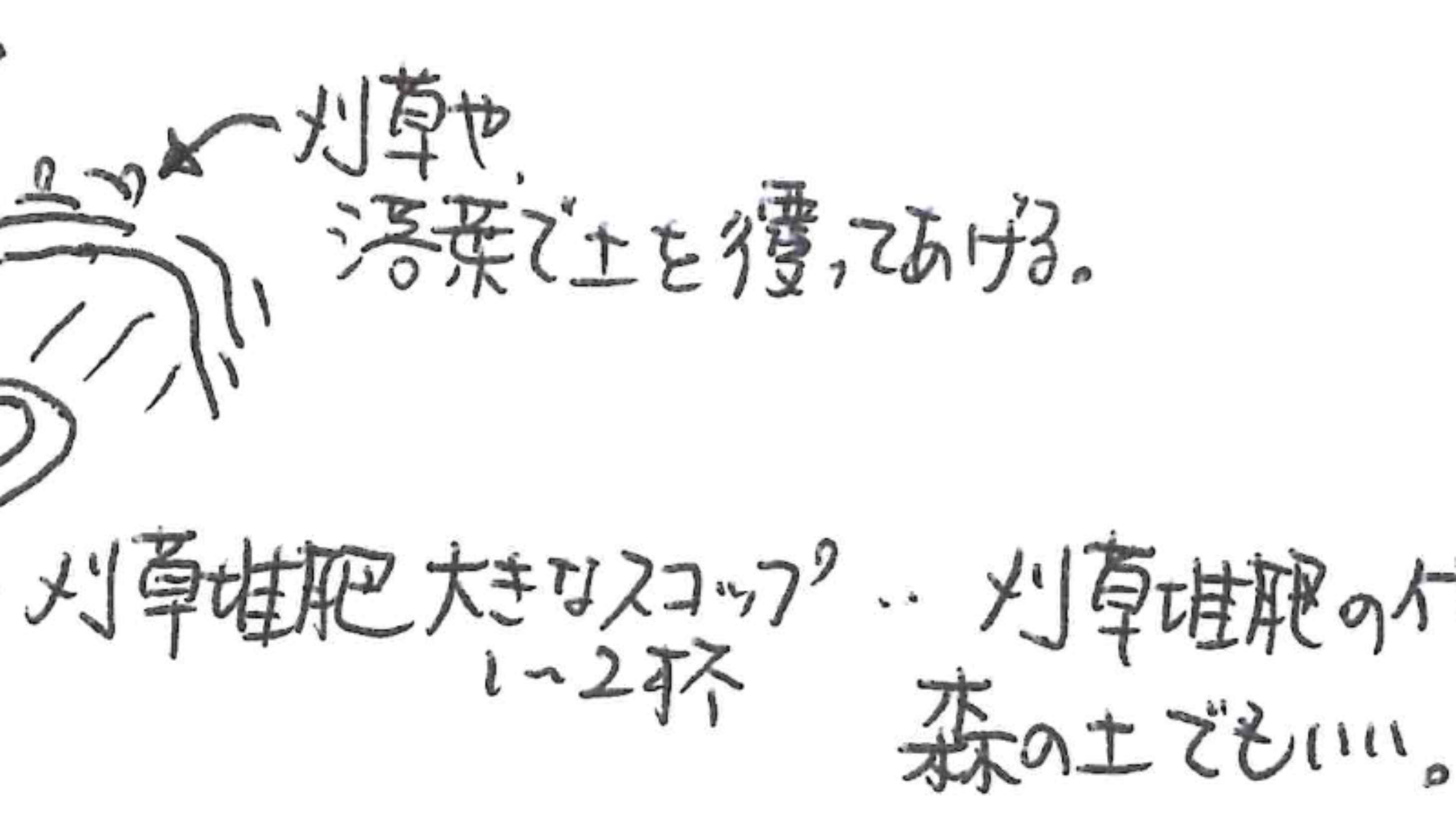 週刊てんとうむし畑便り(2026/4/26~5/2 ﾐﾆ第503号)