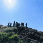 堆肥の山